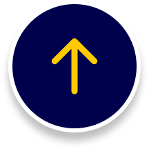 Go to top button