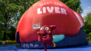 Livvy the Liver mascot poses in front of the giant inflatable liver