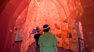 Participants tour the inflatable liver